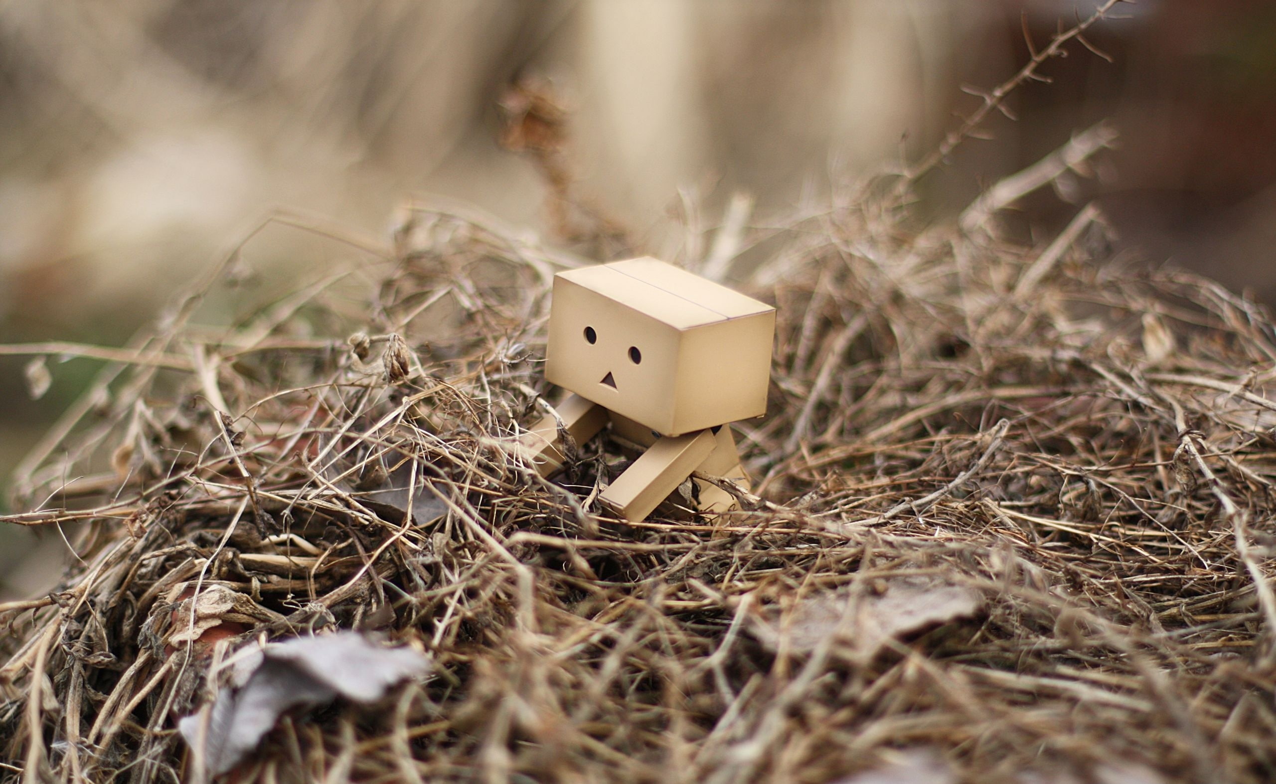 twig, grass, wood - material, day, sunlight, hole, single object, white color, outdoors, dry, toy, Aero, figure, land, hay, amazon, nature, Nest, plant, HD Wallpaper