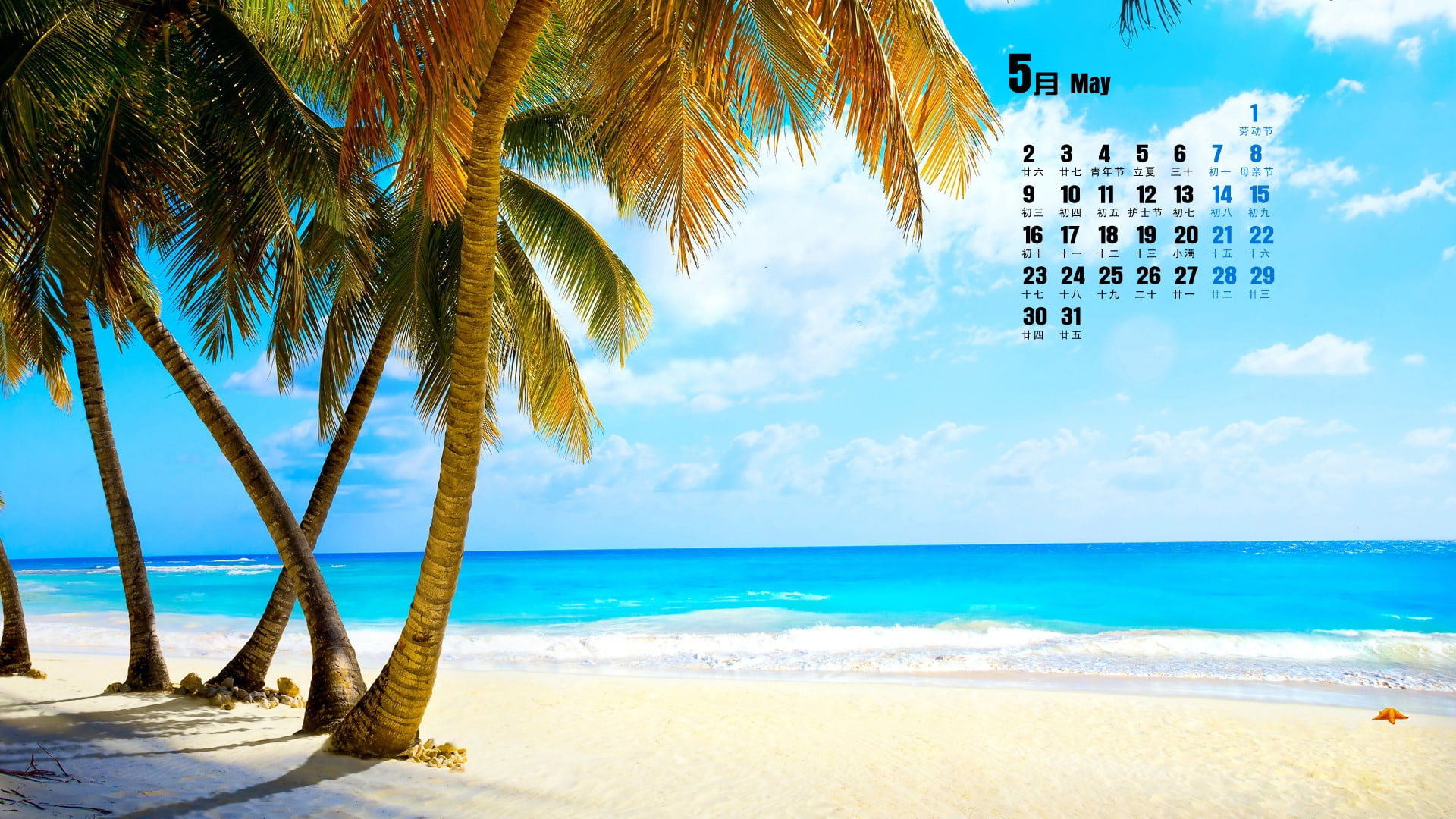 desktop, sand, outdoors, plant, sea, land, tranquil scene, palm leaf, sky, tropical climate, beach, tree, calendar, beauty in nature, no people, nature, HD Wallpaper