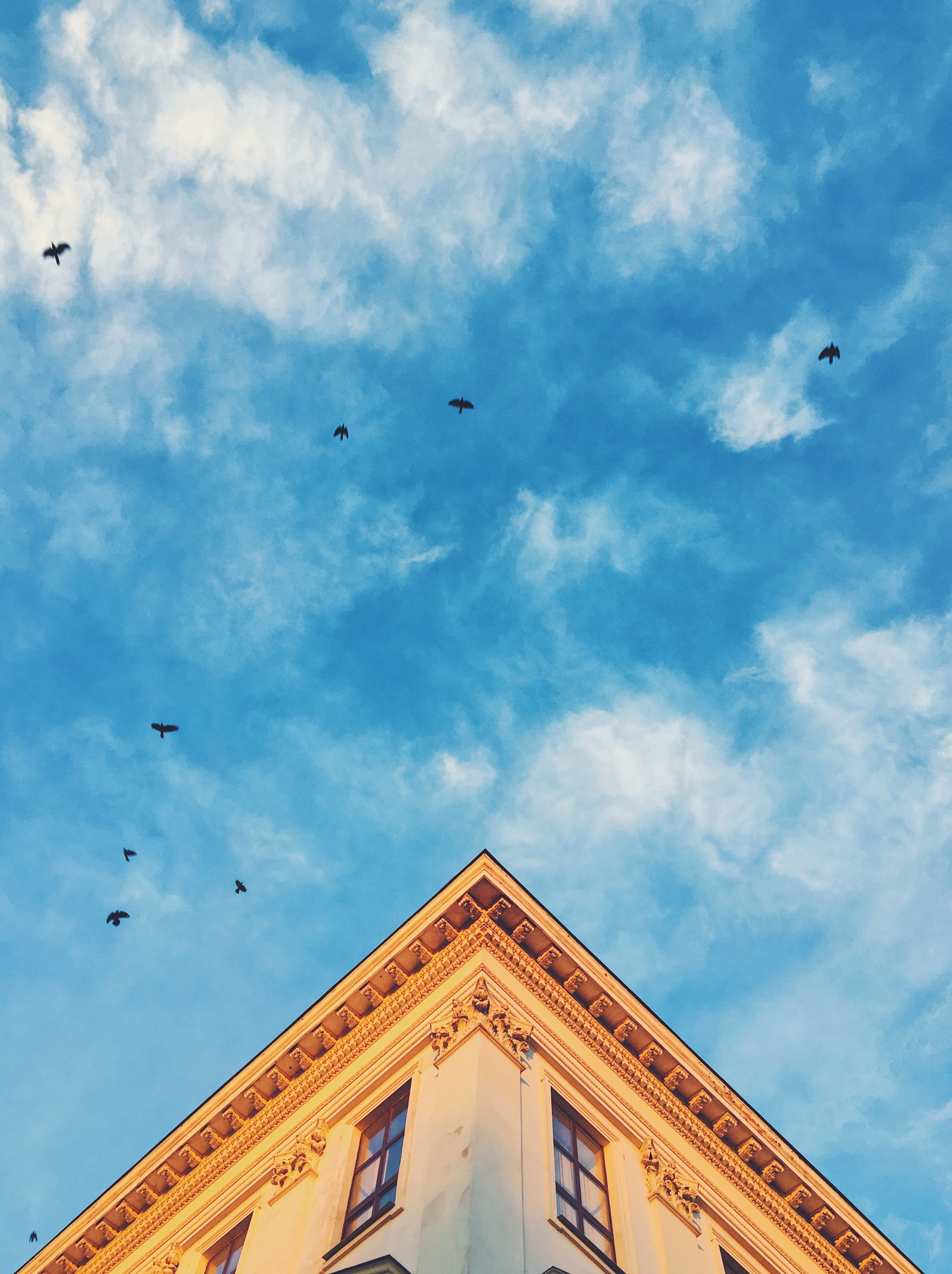 time, animal wildlife, day, cloud - sky, concrete, flock of birds, cloud, building, clouds, building exterior, animal themes, animal, photography, near, Phone HD Wallpaper