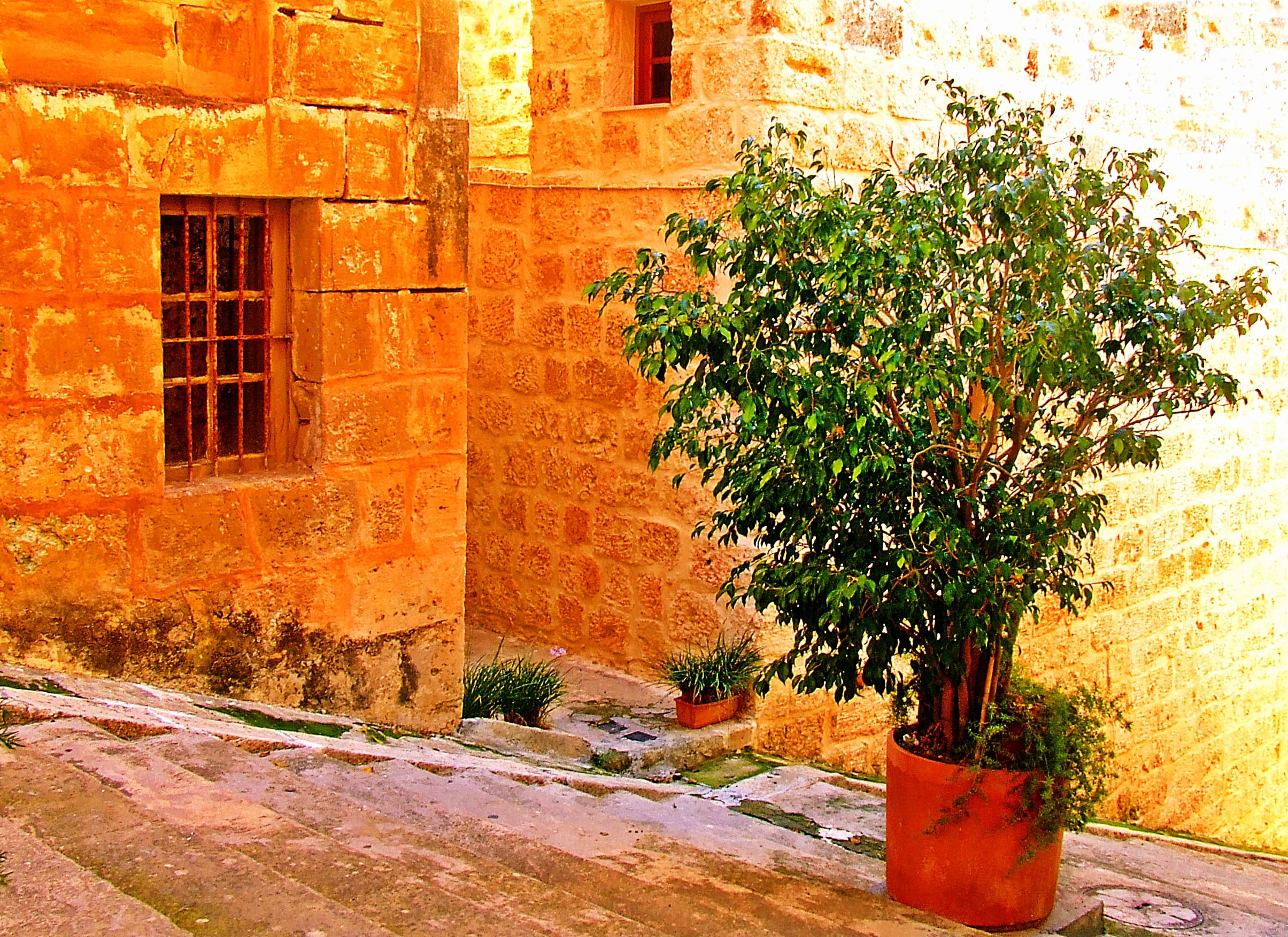 day, town, traditional, architecture, europe, building, steps, wall - building feature, destination, growth, mellieha, potted plant, no people, house, orange color, HD Wallpaper