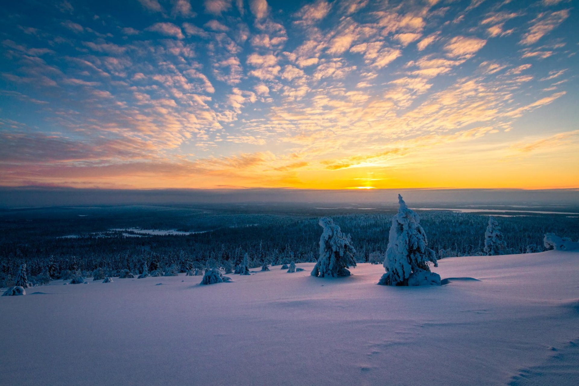 Sky, Snow, Sunrise, Forest, Horizon, Winter, Earth, Cloud, Nature, Tree, 1080P, Landscape, HD Wallpaper