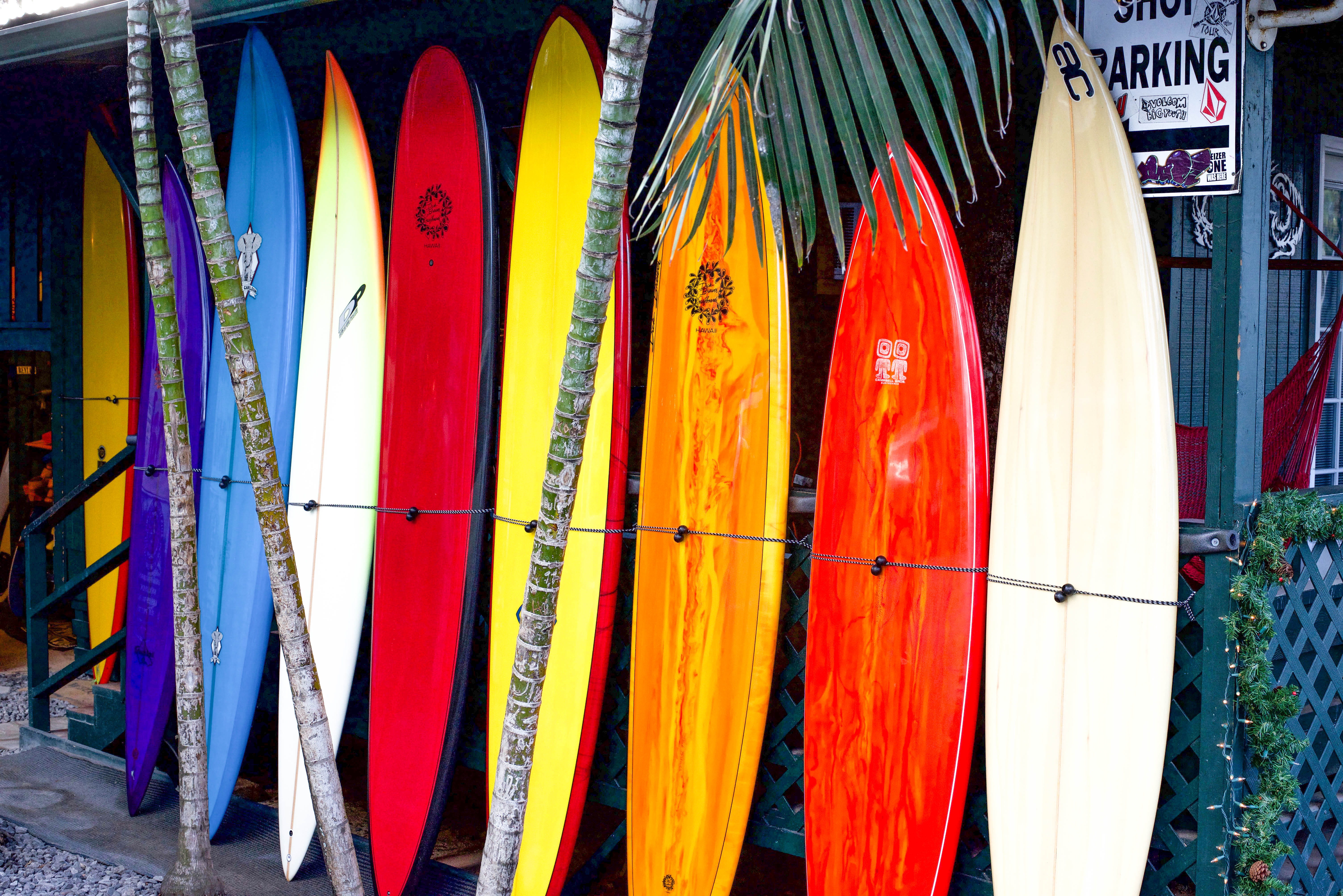 architecture, wall - building feature, side by side, hanging, yellow, surfboards, colourful, surfboard, in a row, for sale, choice, 5K, text, variation, HD Wallpaper