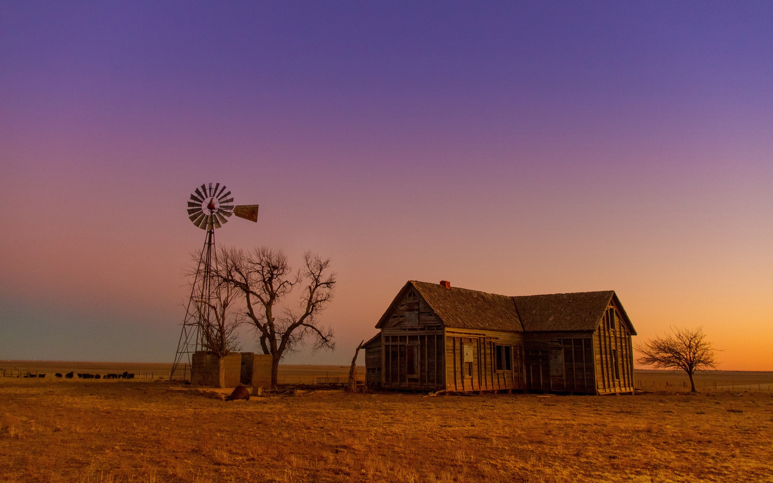 no people, building, sky, environmental conservation, renewable energy, land, building exterior, bare tree, 2K, nature, scouts, landscape, world, field, HD Wallpaper