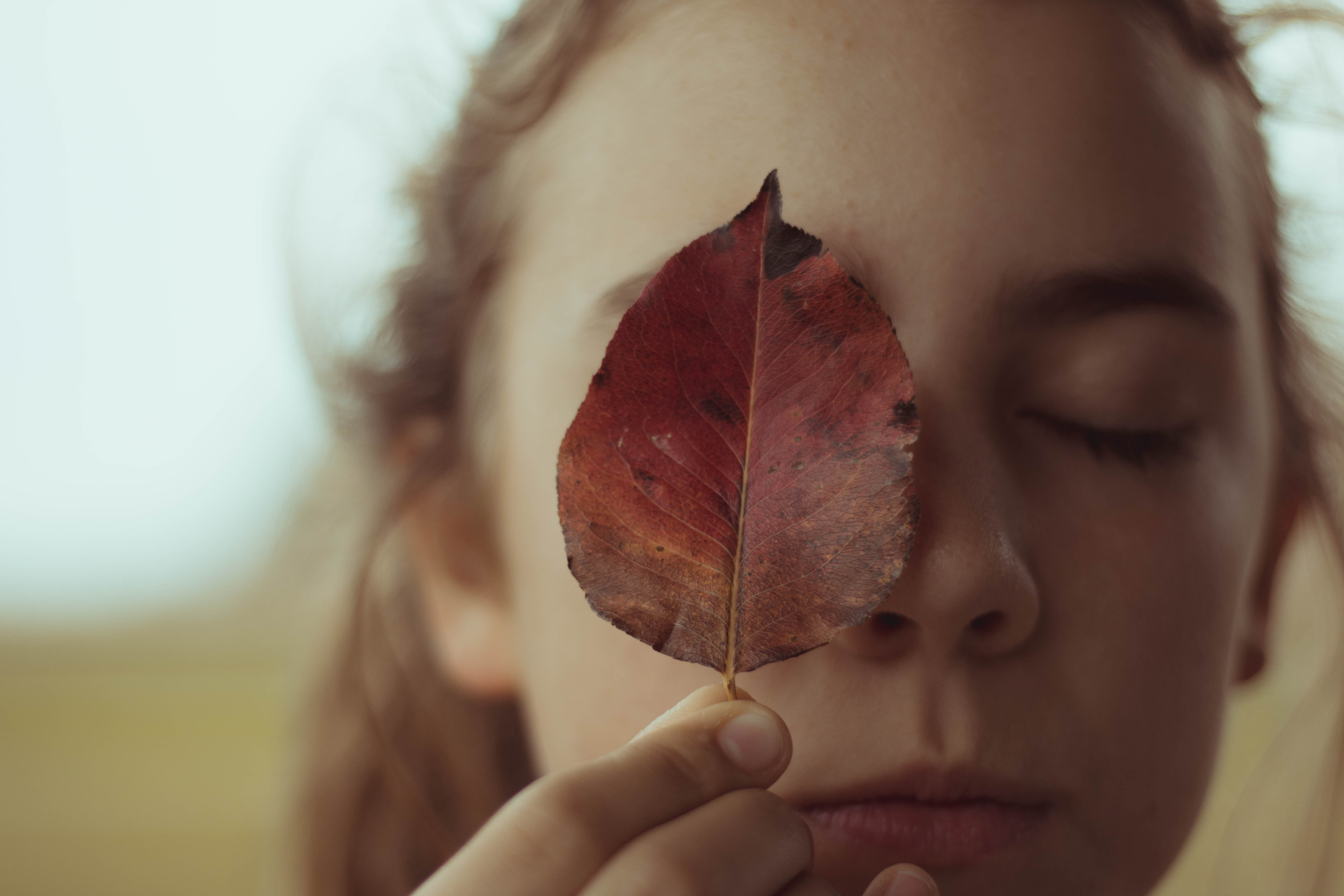 hand, human face, autumn, person, right, flower, day, human, woman, petal, leisure activity, headshot, eye, using, child, smelling, piercing, human body part, HD Wallpaper