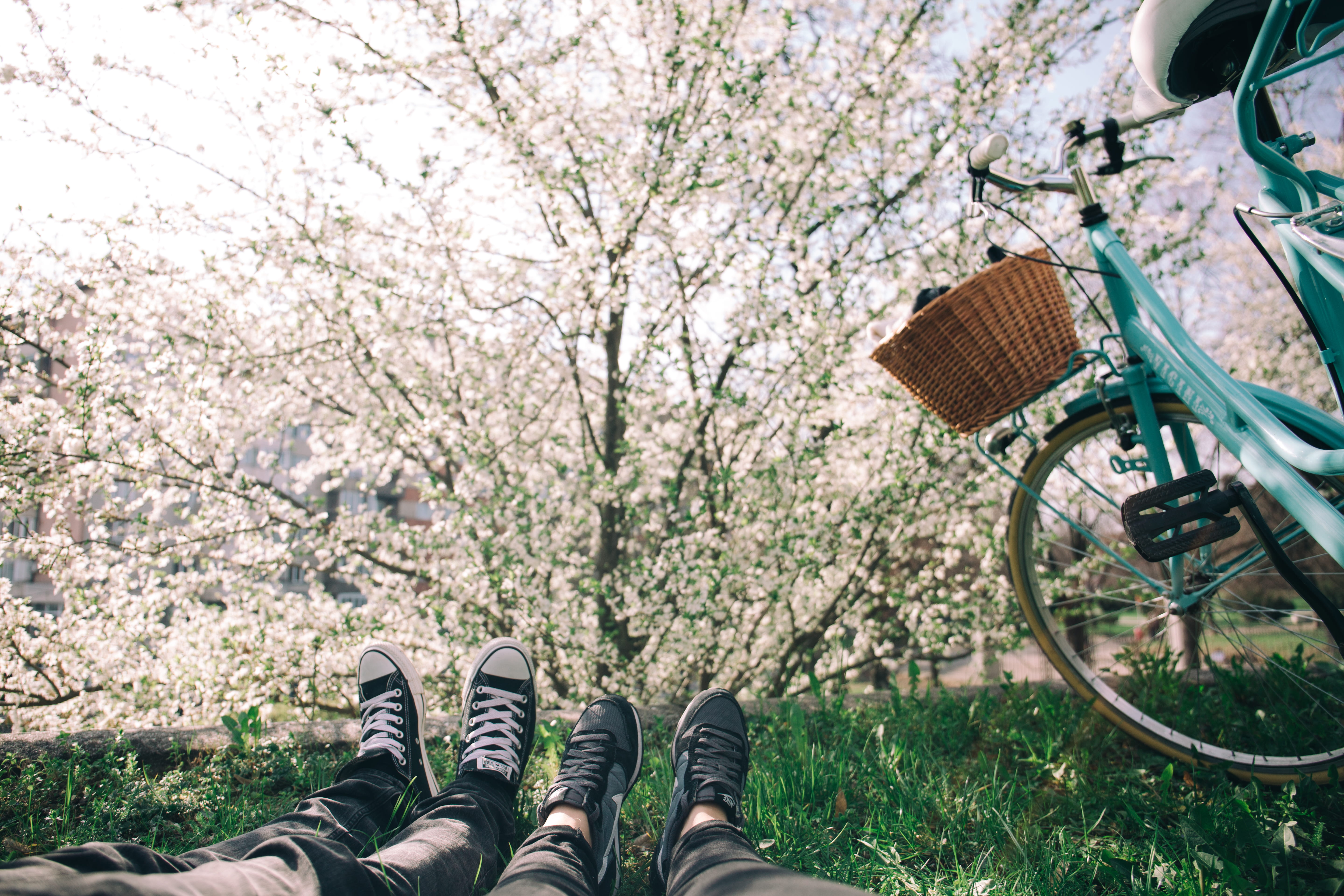 human limb, beauty in nature, cherry tree, couple, 5K, bicycle, human foot, human leg, body part, laying, s, personal perspective, growth, tree, outdoor, HD Wallpaper