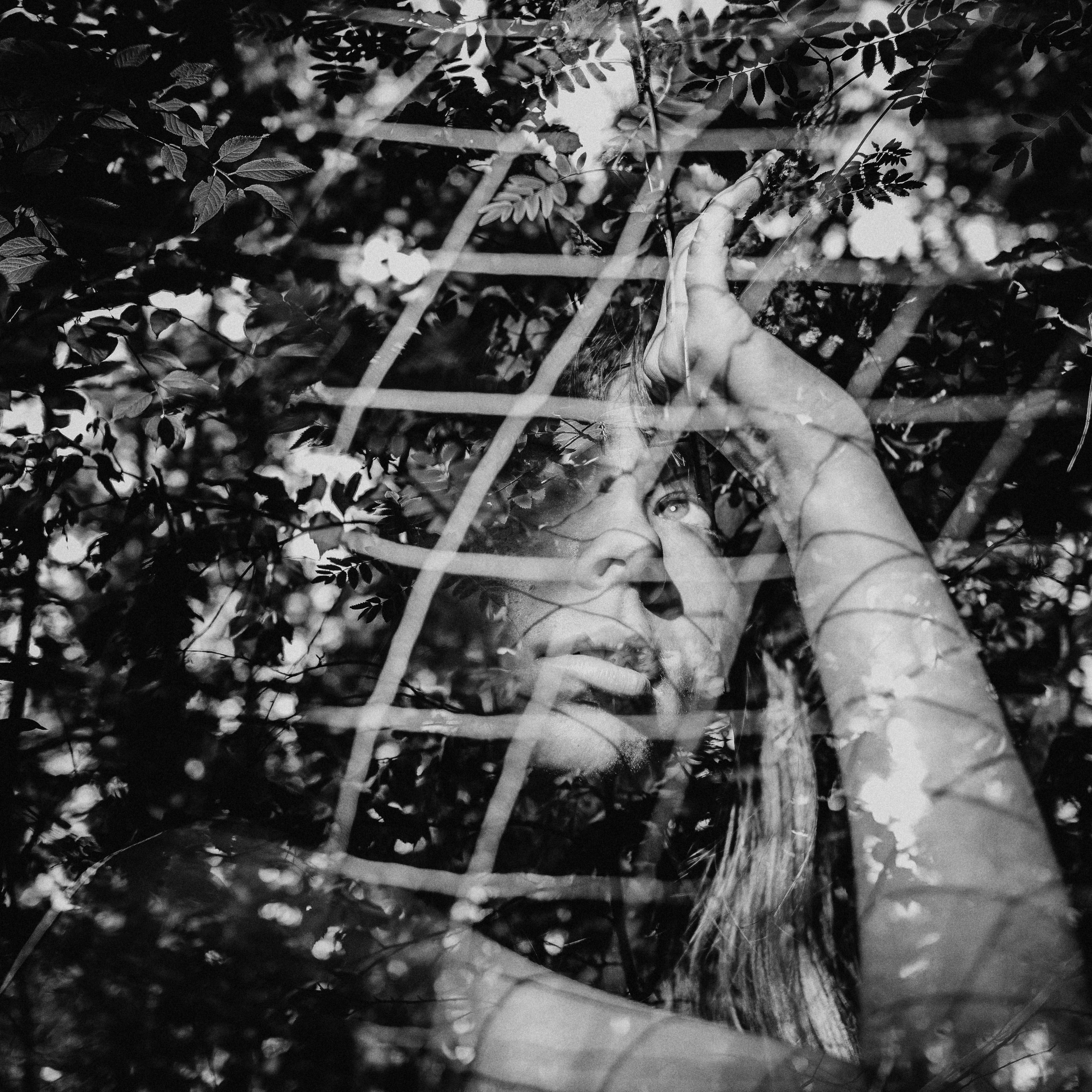 sunlight, 4K, standing, vegetation, day, fence, face, women, maple, light, hand, tree trunk, portrait, root, real people, greyscale, woman, photo, arms raised, Phone HD Wallpaper