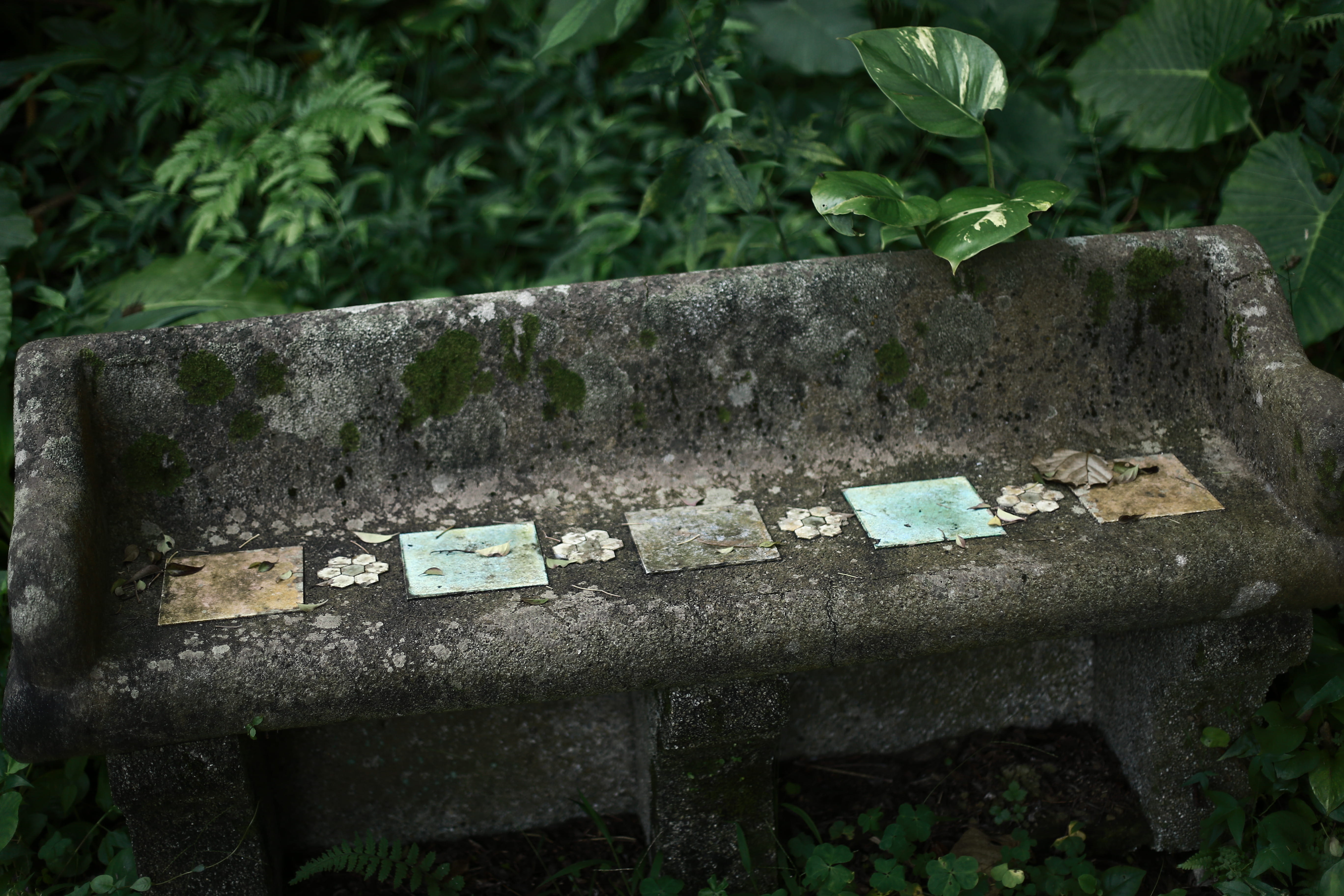 slate, green color, run-down, first aid, flower, plant part, treasure, brick, bench, plant, tombstone, furniture, soil, dirt, deterioration, growth, old, HD Wallpaper