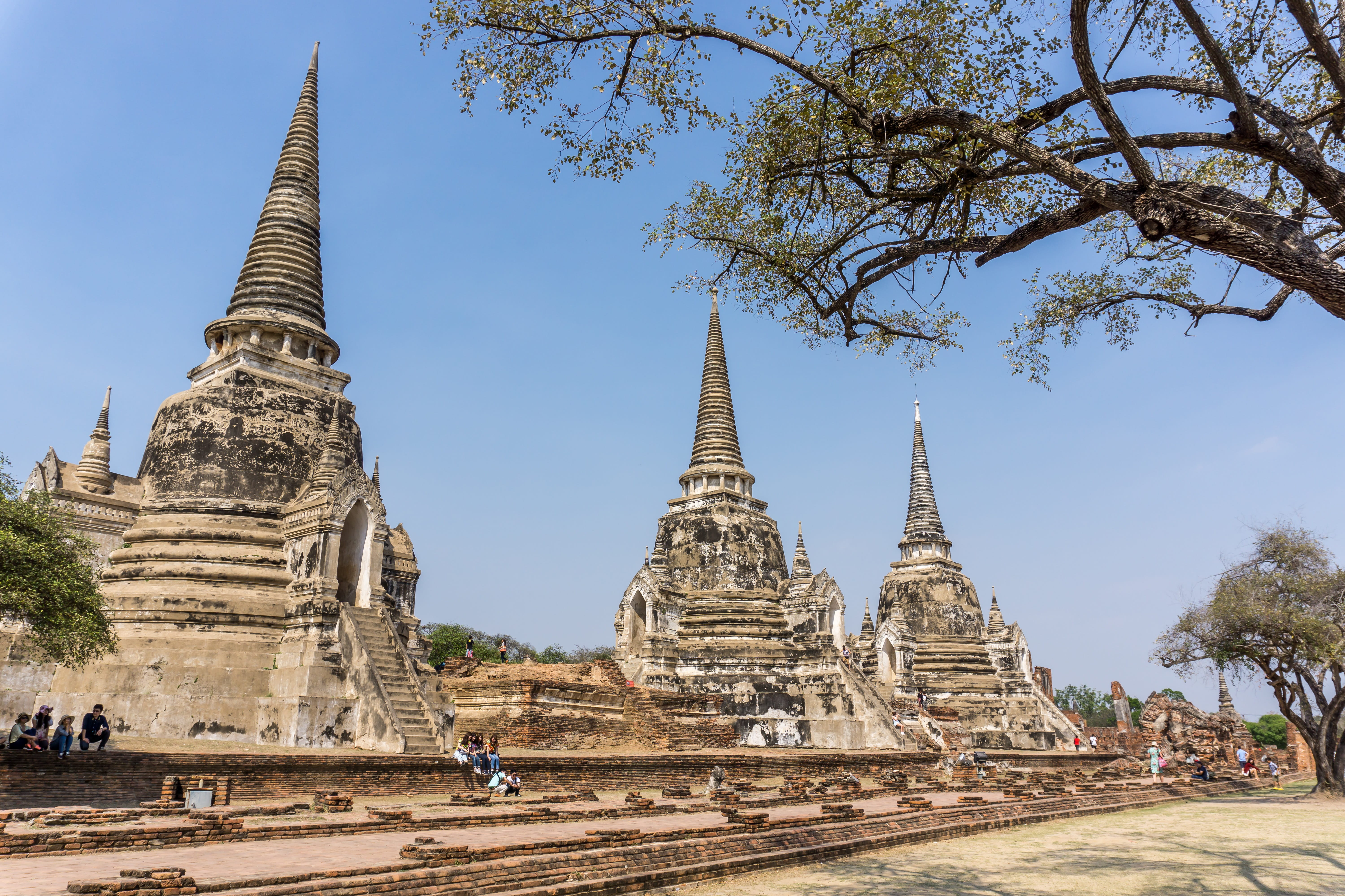 buddha, belief, Phra Nakhon Si Ayutthaya, landmark, tree, built structure, archaeology, ruins, travel, outdoors, ruined, thai, temple, travel destinations, HD Wallpaper