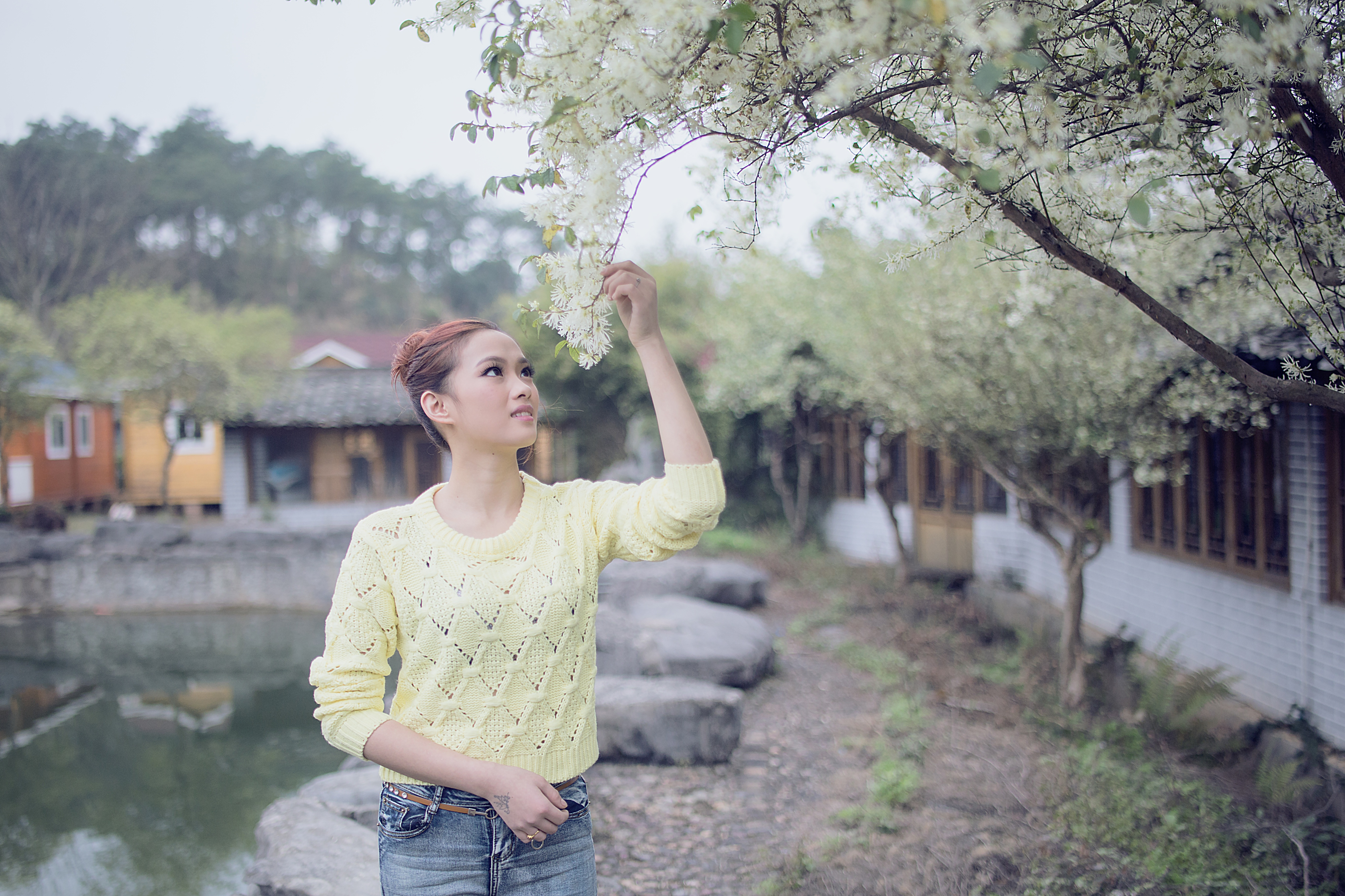 hairstyle, flower, one person, looking away, white flowering tree, sweater, front view, catch of spring, lifestyles, looking, beautiful, women, check dam green spring outing, HD Wallpaper