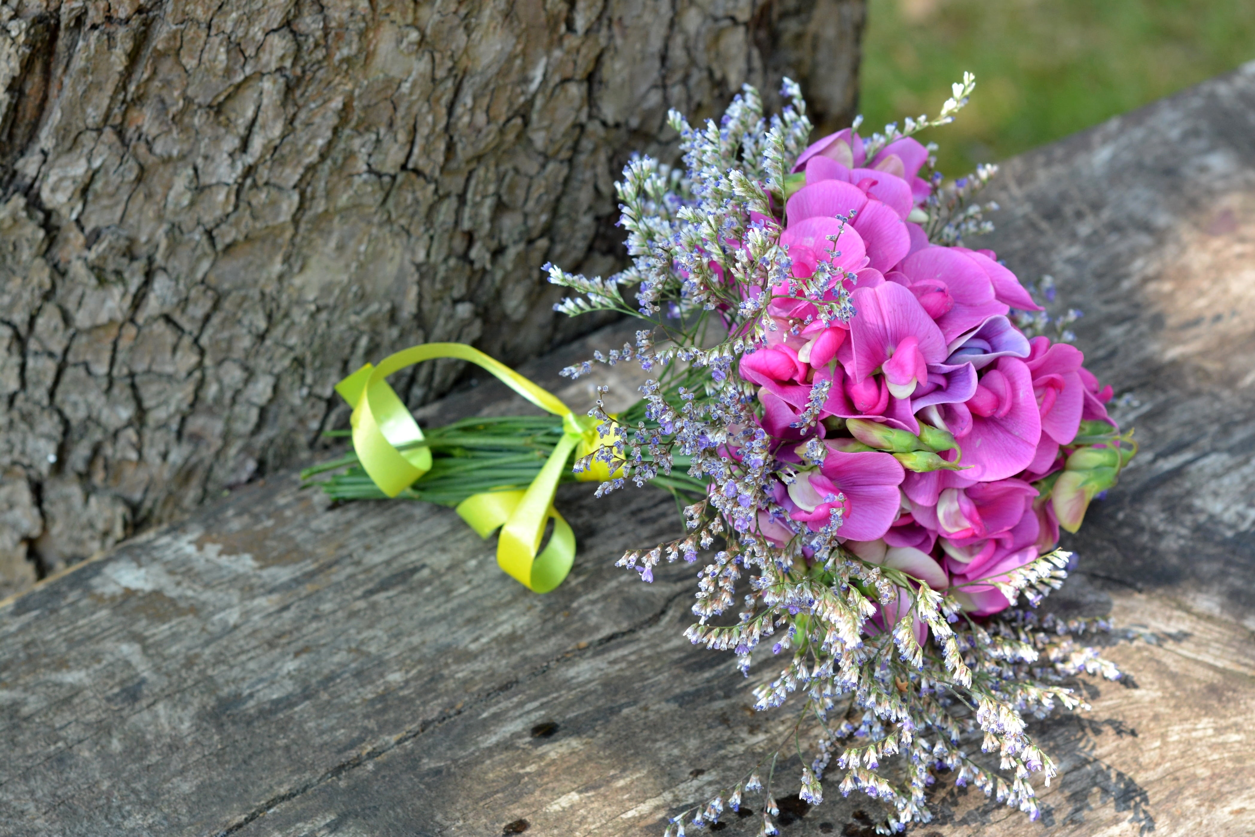 flowering plant, romance, 4K, green color, outdoors, a small bunch, pink Color, focus on foreground, lathyrus odoratus, fragility, flower, flowers, pink, HD Wallpaper
