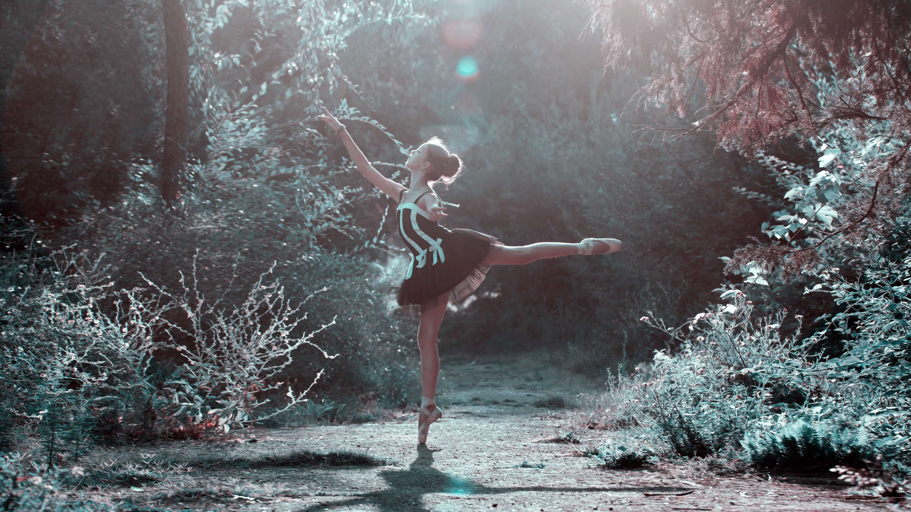 nature, full length, hairstyle, forest, animal wildlife, people, female, mammal, outdoors, 4K, dance, pose, beautiful, fun, human limb, ballet, girl, choreography, HD Wallpaper