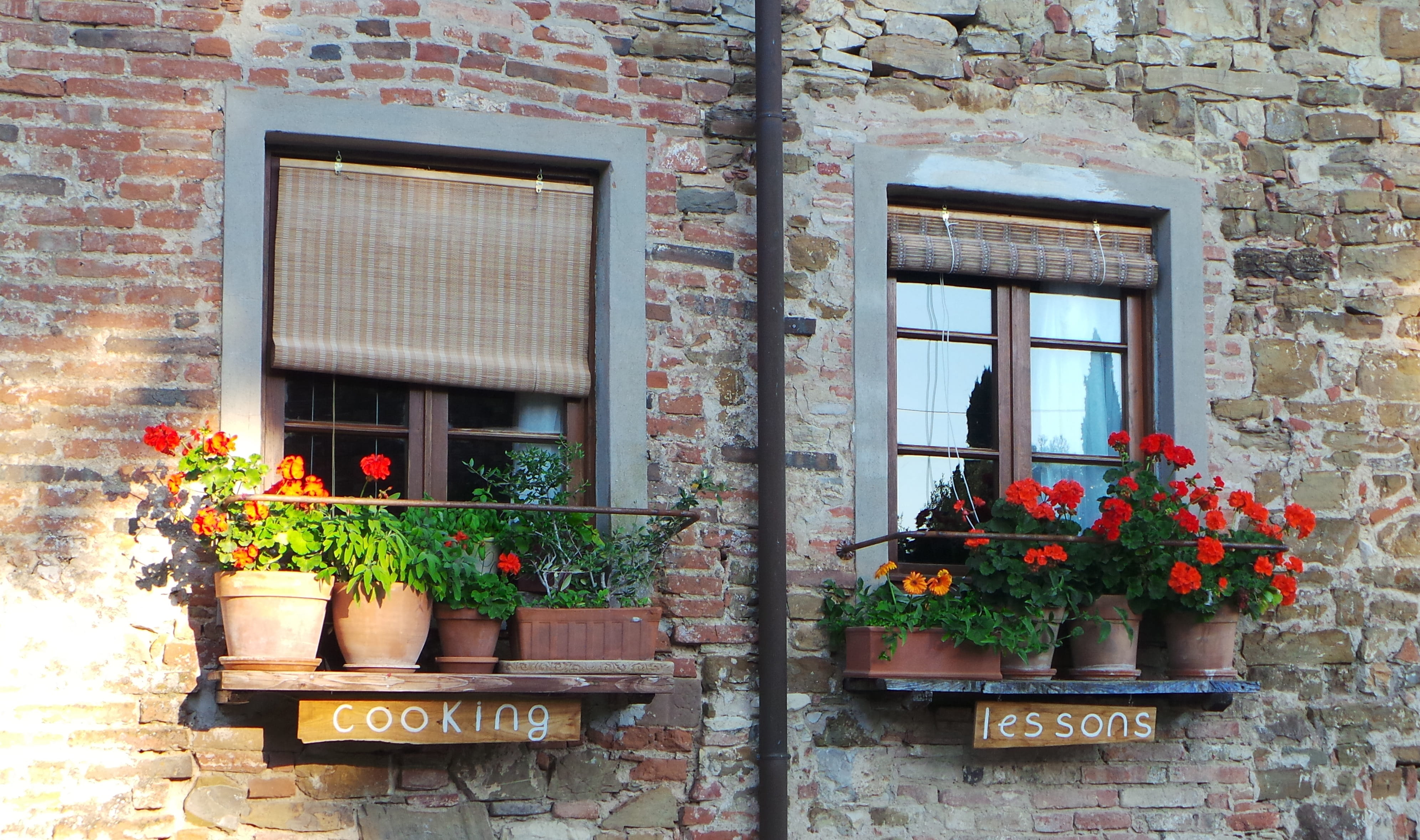 potted plant, House, brick, vintage, picturesque, flower pot, brick wall, Flowers, plant, outdoors, decoration, wall, summer, Home, day, window, 4K, built structure, HD Wallpaper