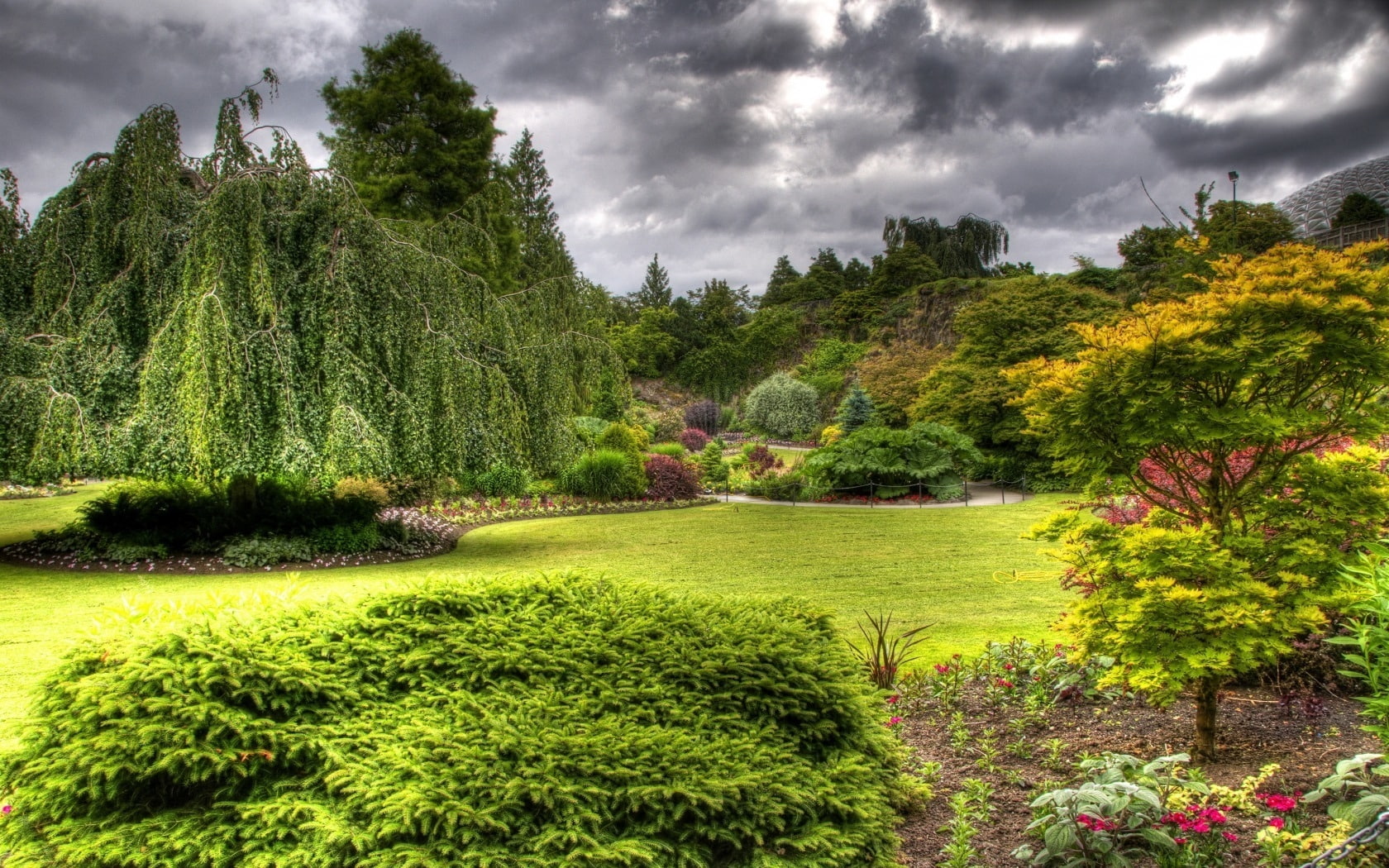queen, grass, elizabeth, queen elizabeth garden, vancouver, garden, canada, 720P, HD Wallpaper