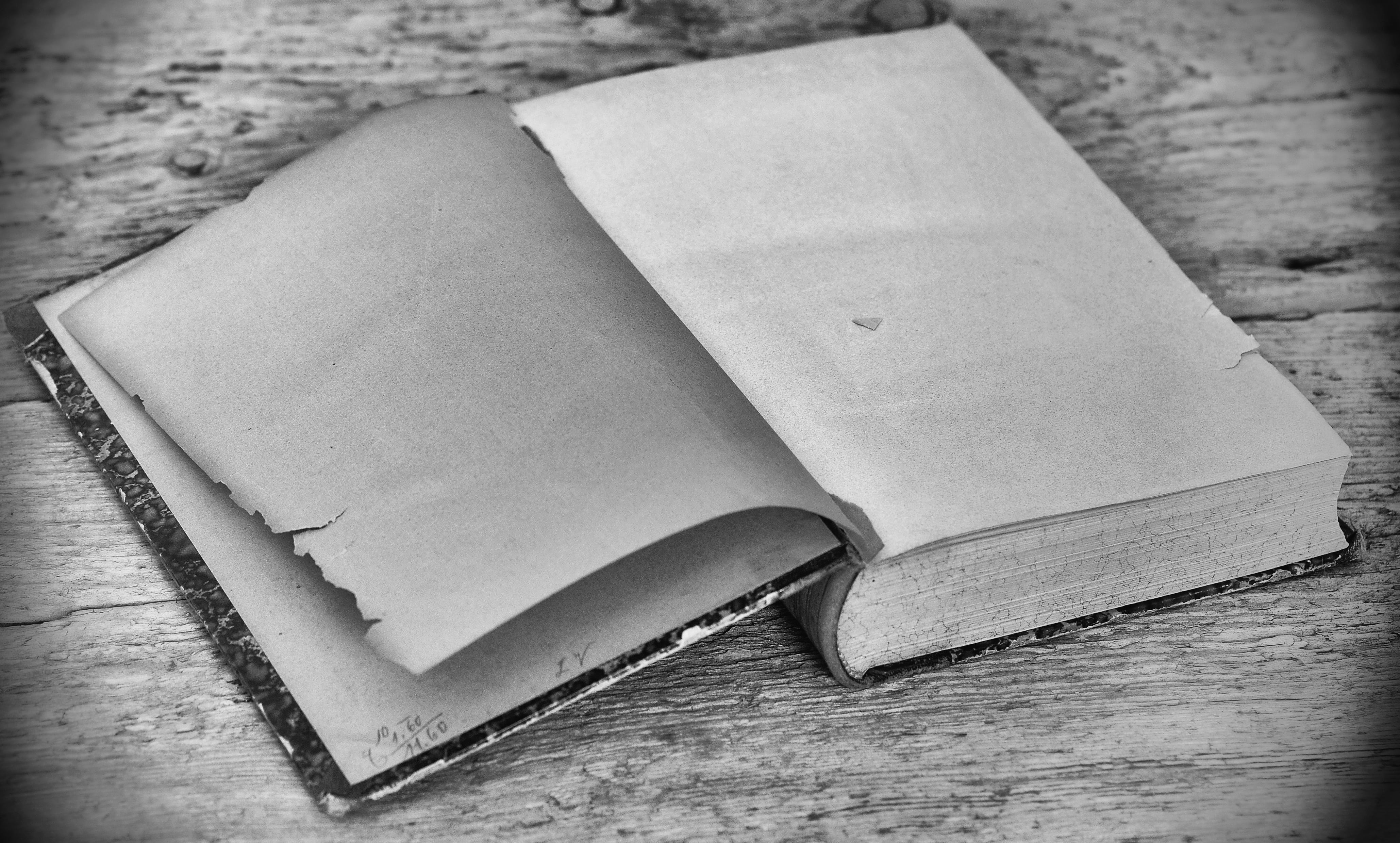 wisdom, antique, black and white recording, book, book pages, open, old, empty pages, education, table, group of objects, blank, photo, 4K, still life, HD Wallpaper
