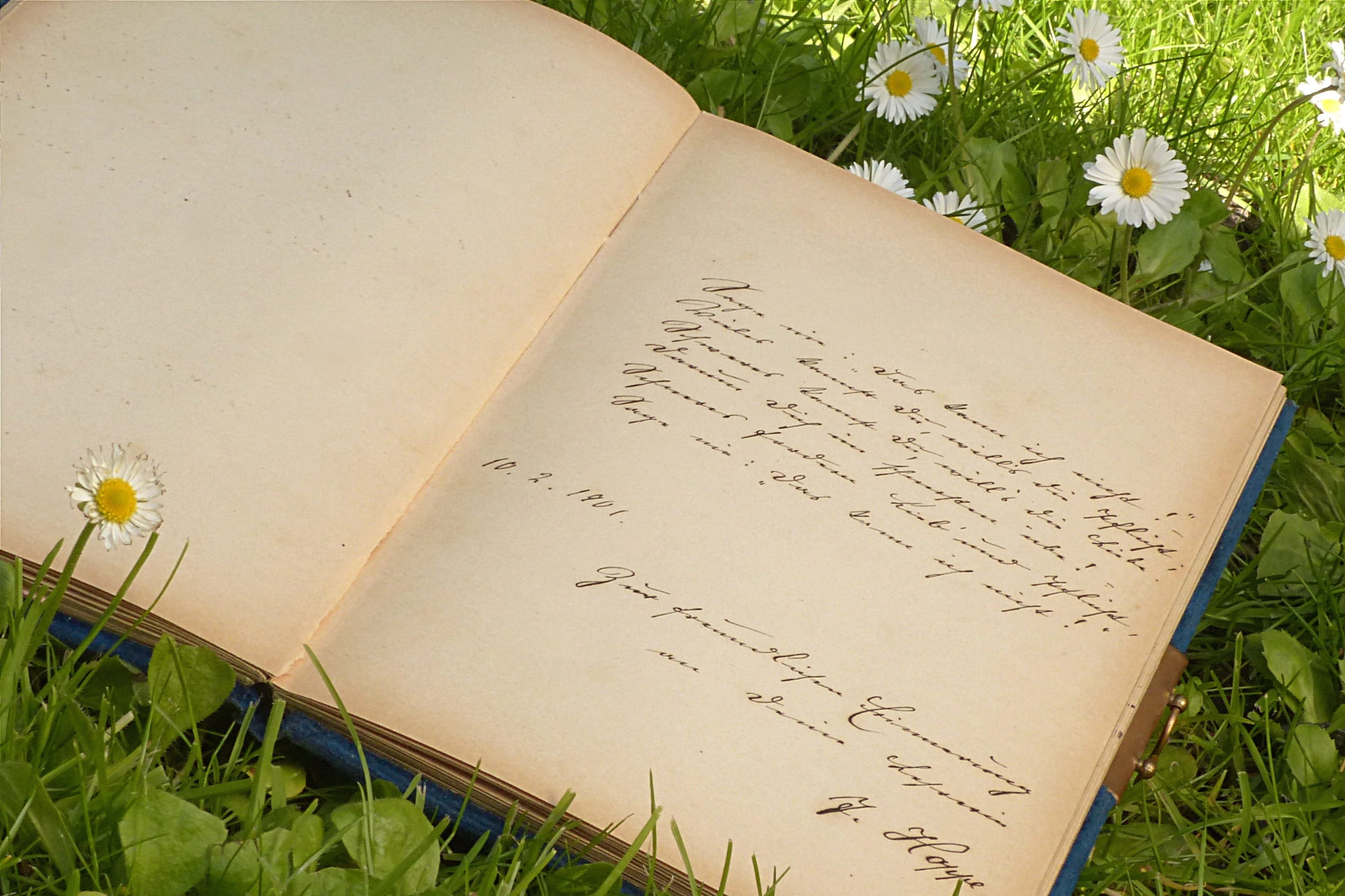 sütterlinschrift, nature, letter, old, mail, close-up, text, near, flowering plant, records, saying, handwriting, poetry album, 1080P, garden, flowers, HD Wallpaper