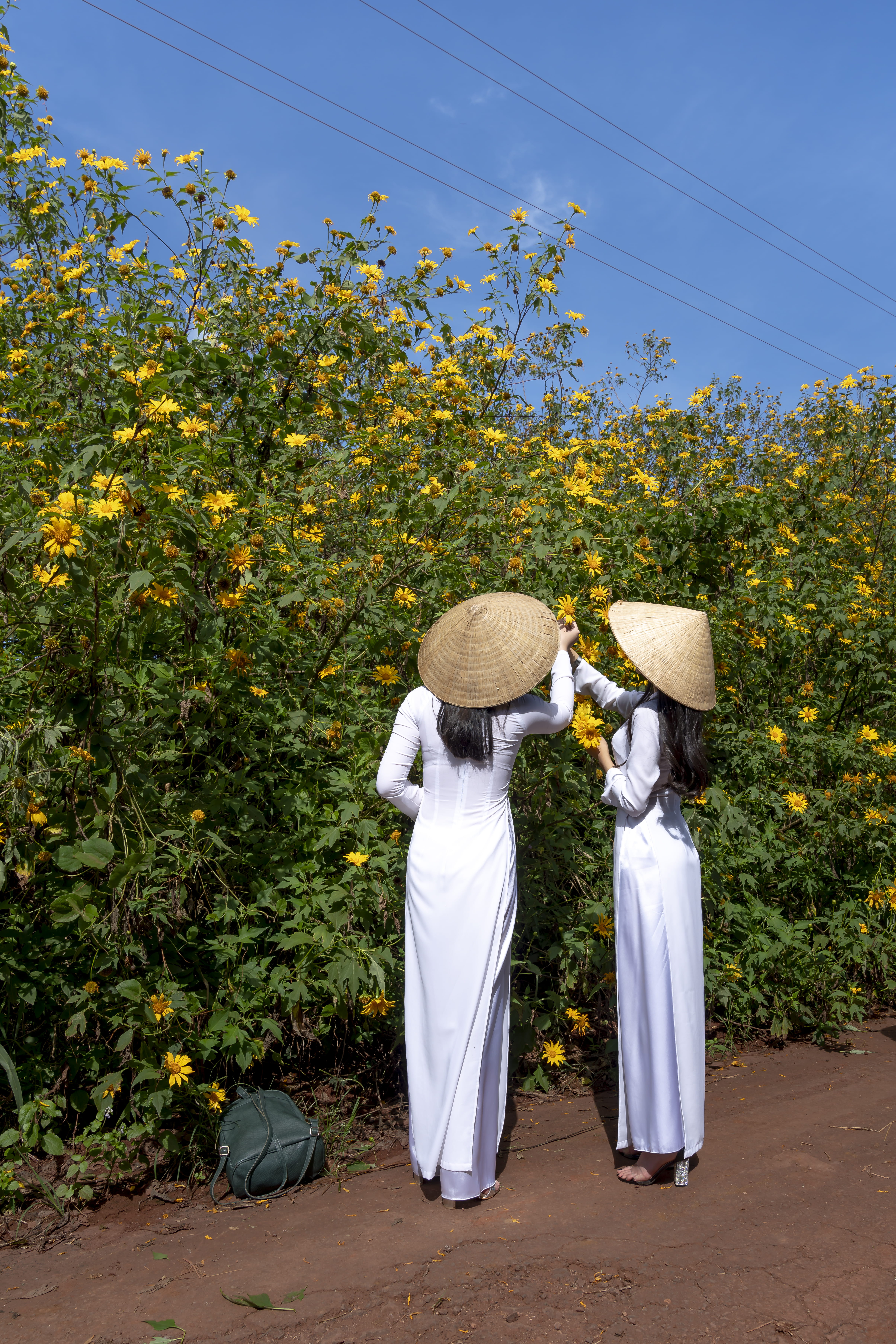 two, women, asian style conical hat, outdoors, flowers, flower field, plant, real people, rear view, 5K, men, sky, sunlight, adult, lifestyles, traditional clothing, Phone HD Wallpaper