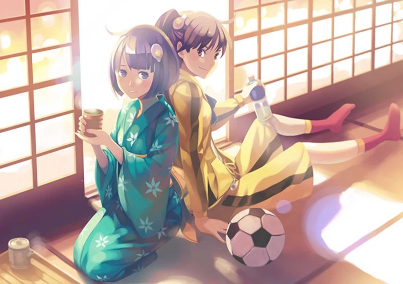 anime, anime girls, white skin, Monogatari Series, artwork, Araragi Karen, Araragi Tsukihi, sun rays, Asian architecture, yukata, dark hair