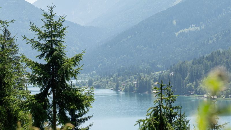 lake, forest, mountains, trees, shore, 4k