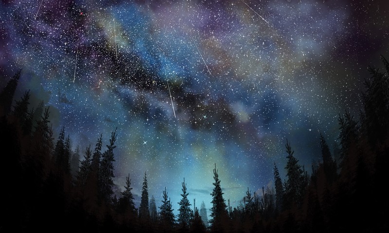sky, stars, meteors, night, trees