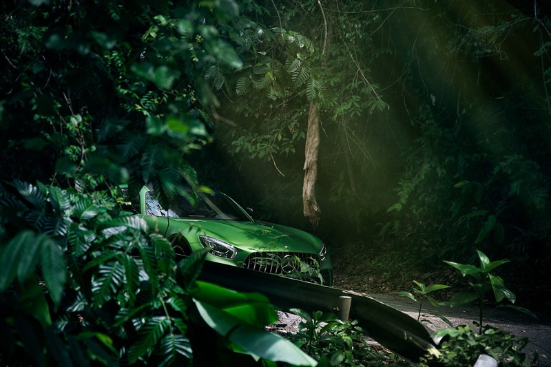 car, Mercedes-Benz, green cars, road, trees, landscape, Mercedes-AMG GT