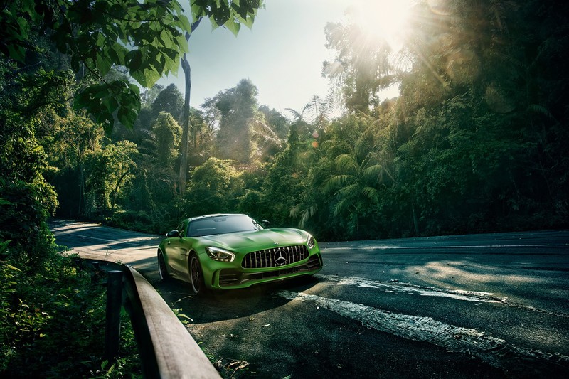 car, Mercedes-Benz, green cars, road, trees, landscape, front angle view