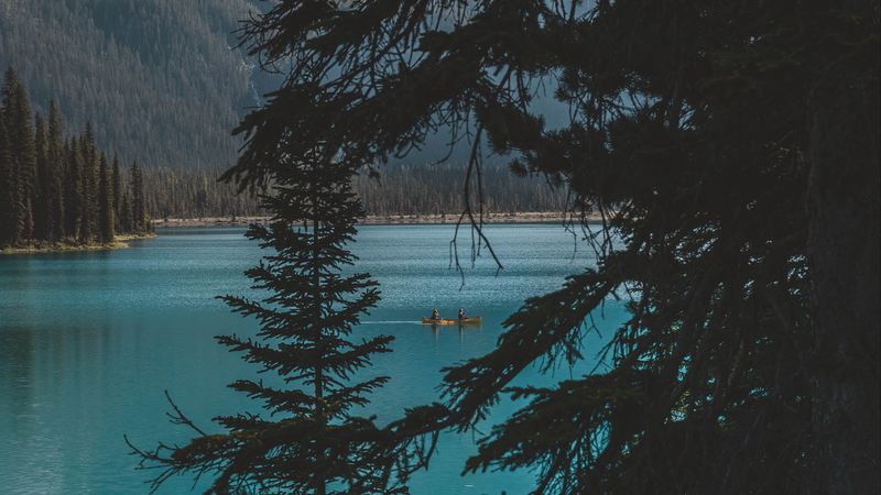 lake, trees, mountains, boat, nature, 4k