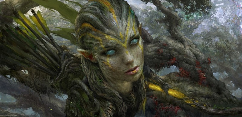 fantasy art, elves, warrior, archer