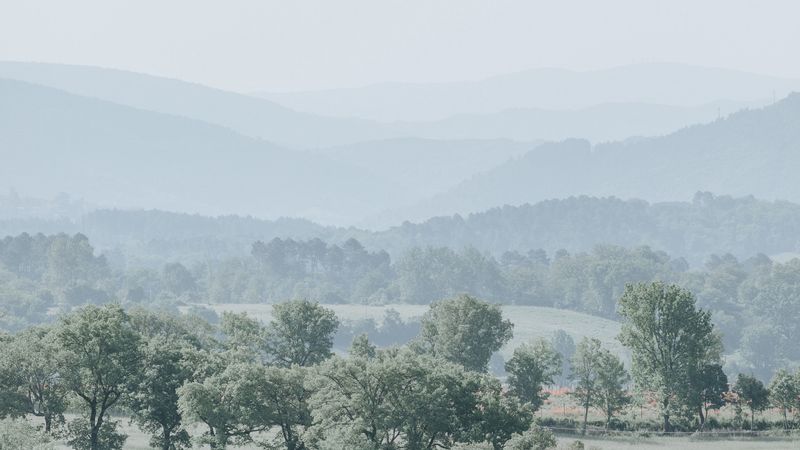 hills, trees, fog, horizon, landscape, 4k
