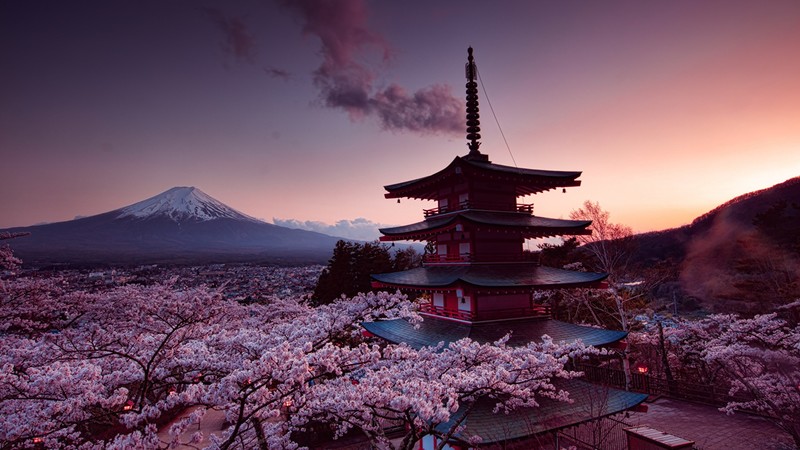cherry blossom, pink, sky, Asian architecture, trees, clouds, Asia, mountains