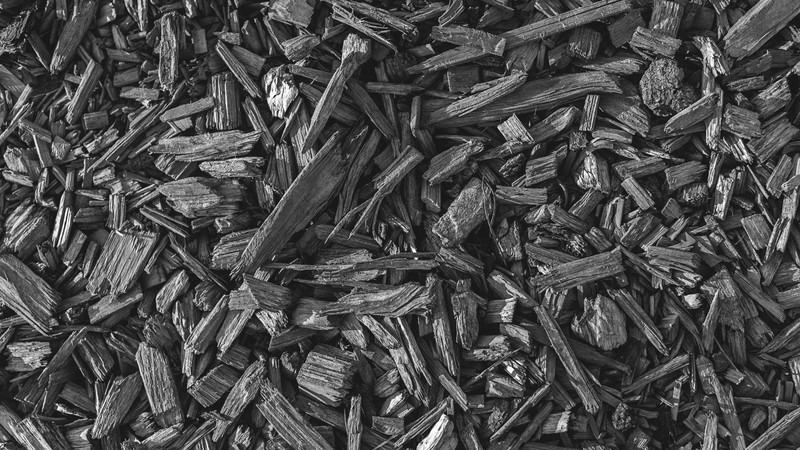 wood, nature, monochrome