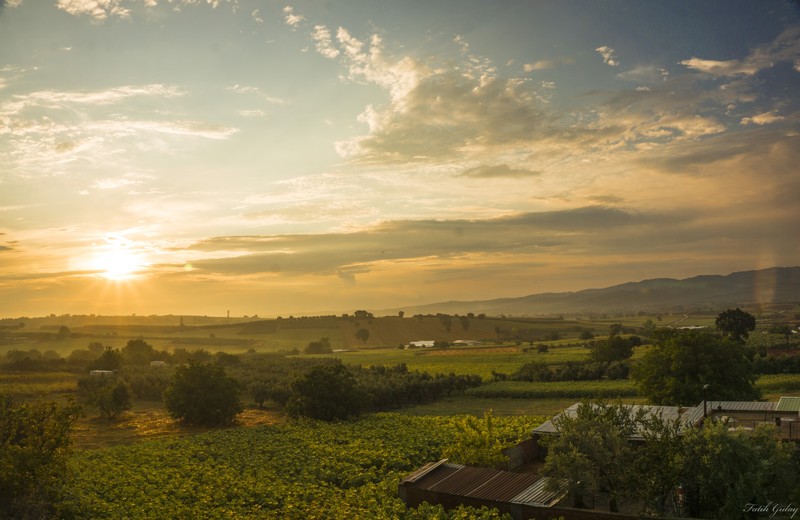 landscape, nature, sunset, sky, clouds, plants, farm