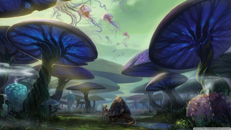 digital art, surreal, plants, magic mushrooms, jellyfish, animals, fantasy art, nature, mushroom