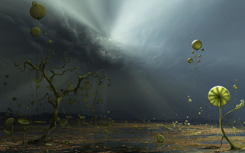 digital art, surreal, plants, trees, clouds, balloon, sun rays