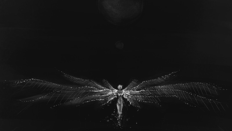 Lilith (Evangelion), Neon Genesis Evangelion, Ayanami Rei, anime, artwork, wings, simple, minimalism