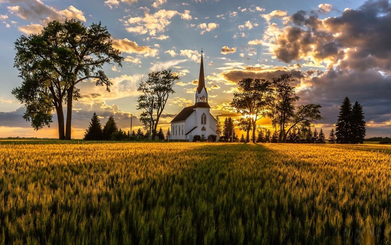 church, sunset, sunrise, field, nature, landscape, trees