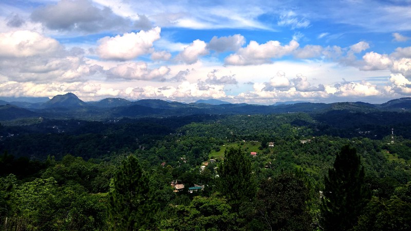 hill, sky, trees, landscape