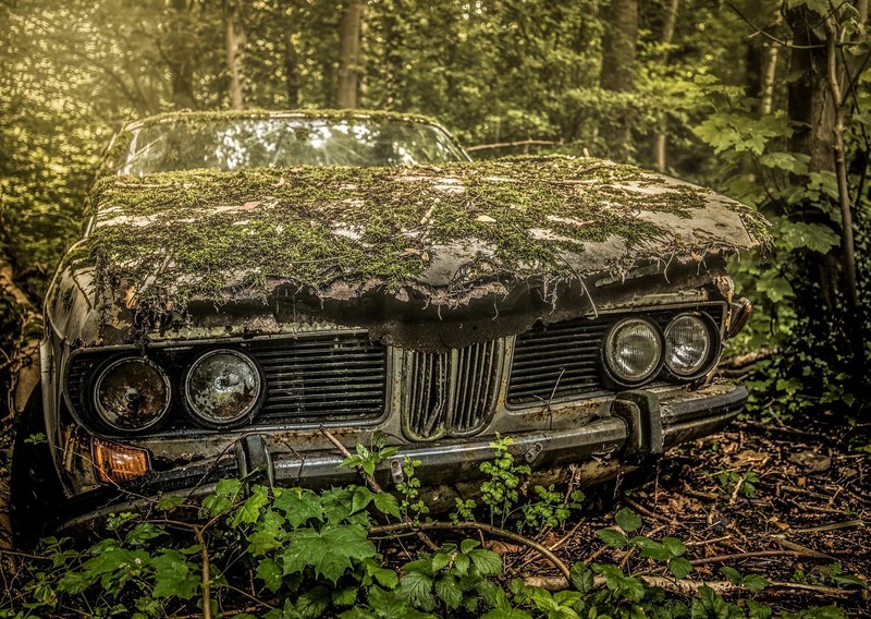 car, wreck, plants, vehicle, moss, BMW, BMW E9