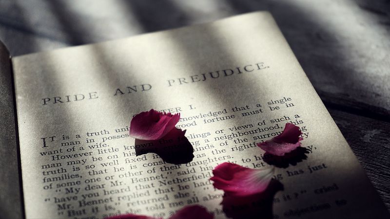 book, petals, text, shadow, 4k