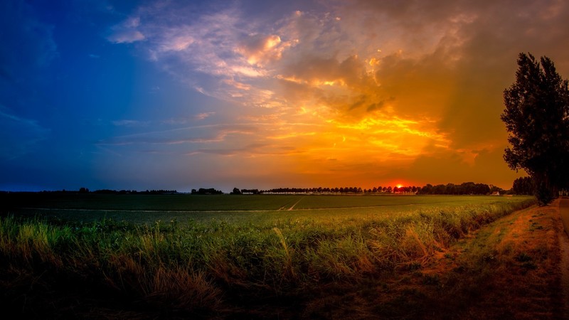 sunlight, sky, landscape, field, grass