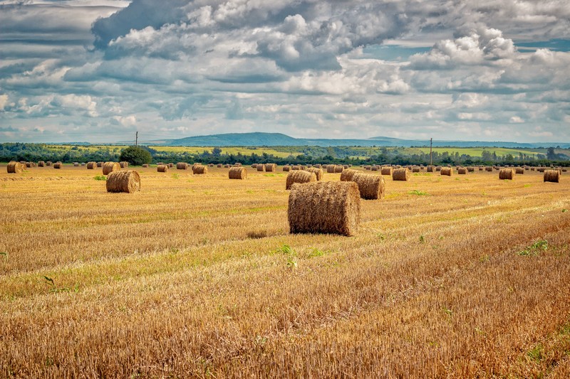 haystacks, landscape, clouds, summer, field
