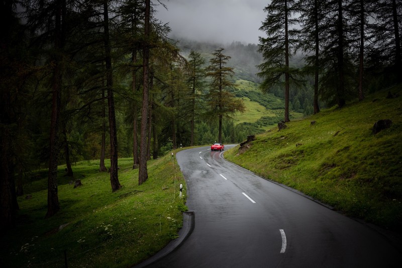 Switzerland, road, car, trees, mist