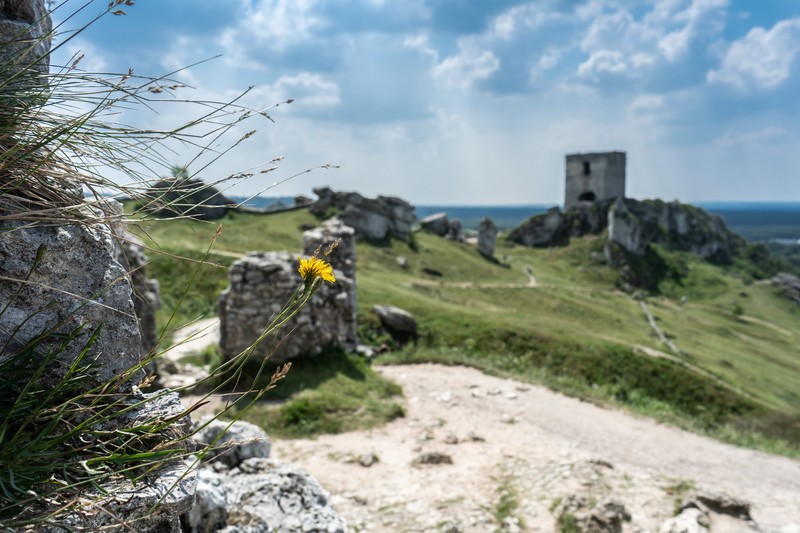 landscape, ruins, castle, Poland, Chill Out, peacefull