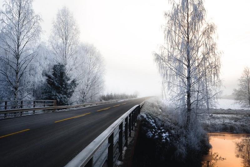 winter, trees, road, landscape