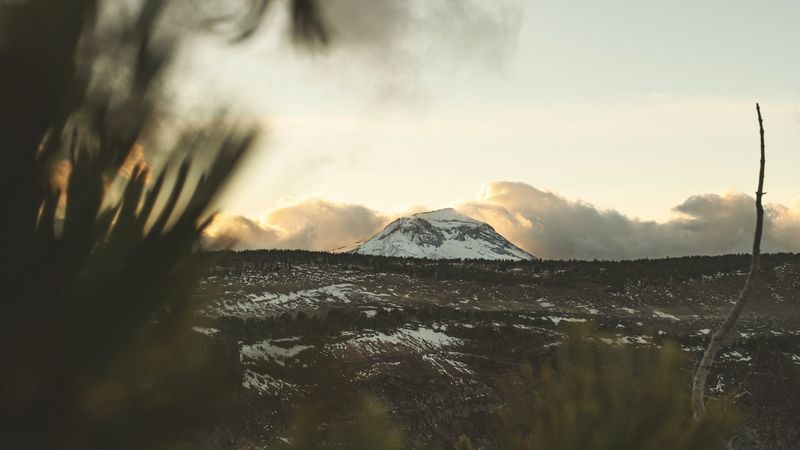 mountain, peak, landscape, foothills, forest, 4k