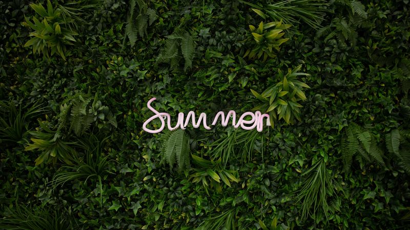 summer, vegetation, inscription, plants, greenery, 4k