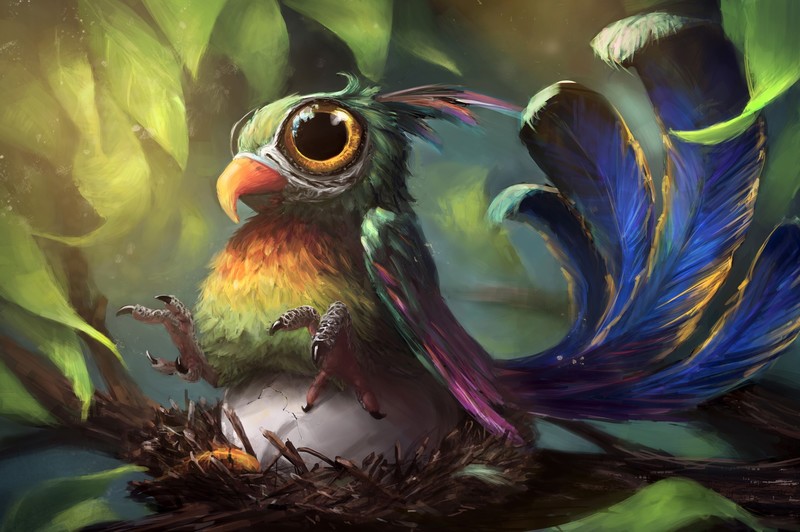 birds, nests, feathers, sheets, eggs, foliage, colorful
