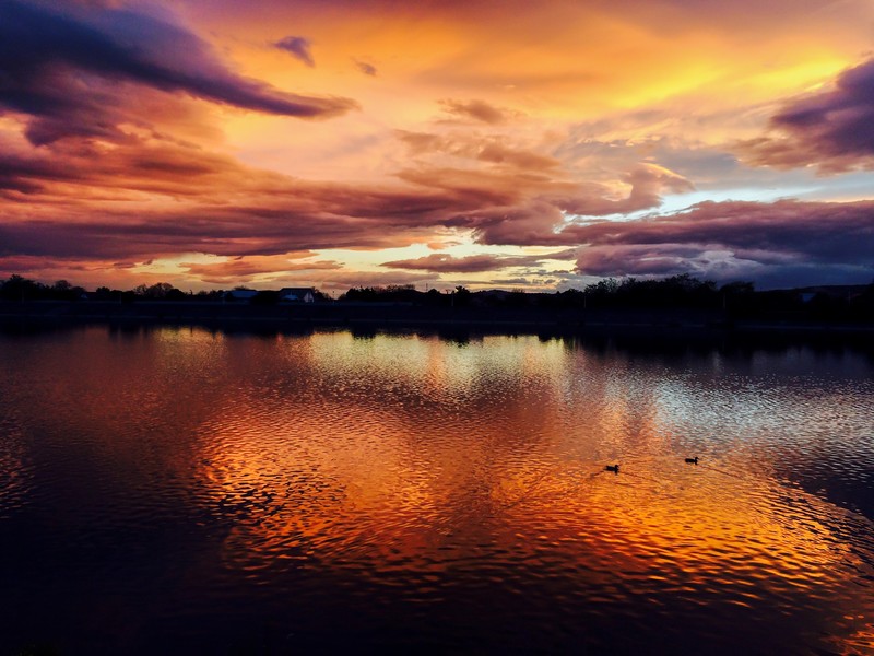Romania, landscape, river, colorful, clouds, reflection, birds