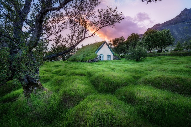 church, green, landscape, Iceland, plants, trees, grass