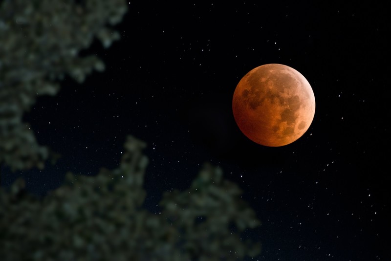 nature, landscape, Moon, moonlight, Super Blood Moon, night, stars, trees, leaves, depth of field, clear sky