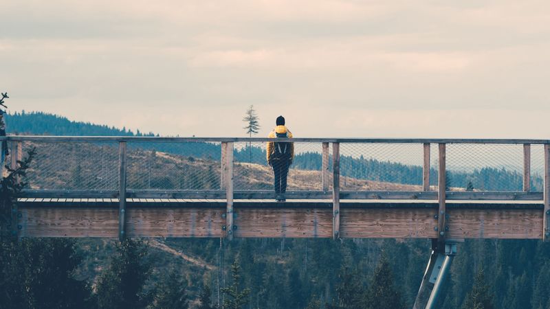 bridge, man, loneliness, nature, 4k
